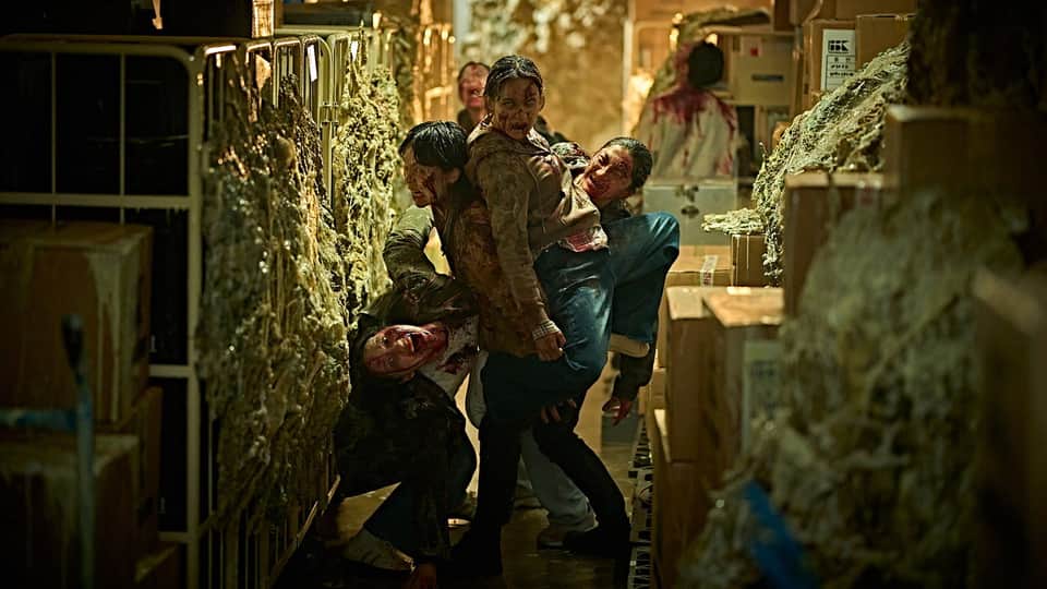 Colony 9/12