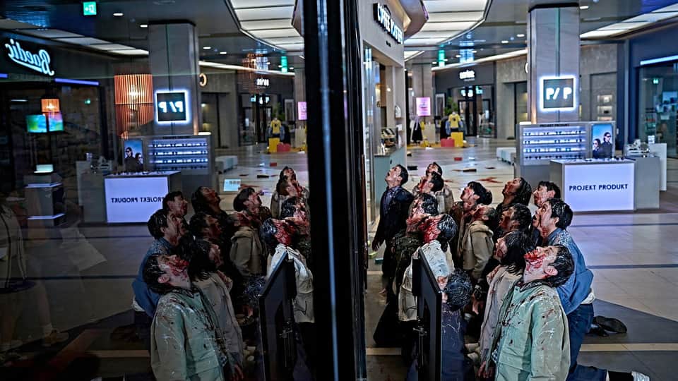 Colony 6/12
