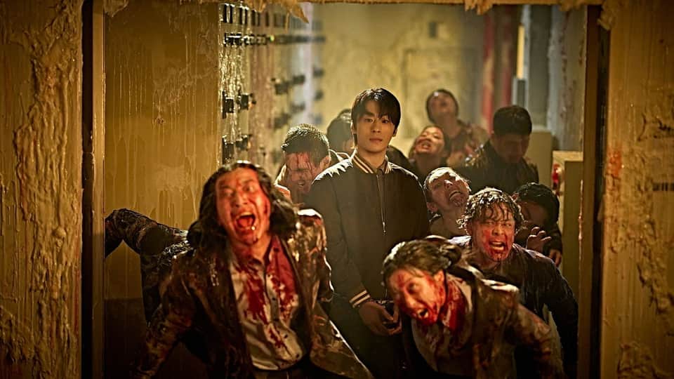 Colony 3/12
