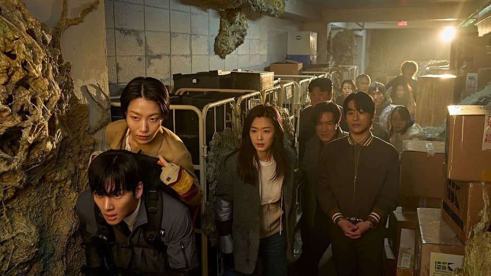 Colony 4/12