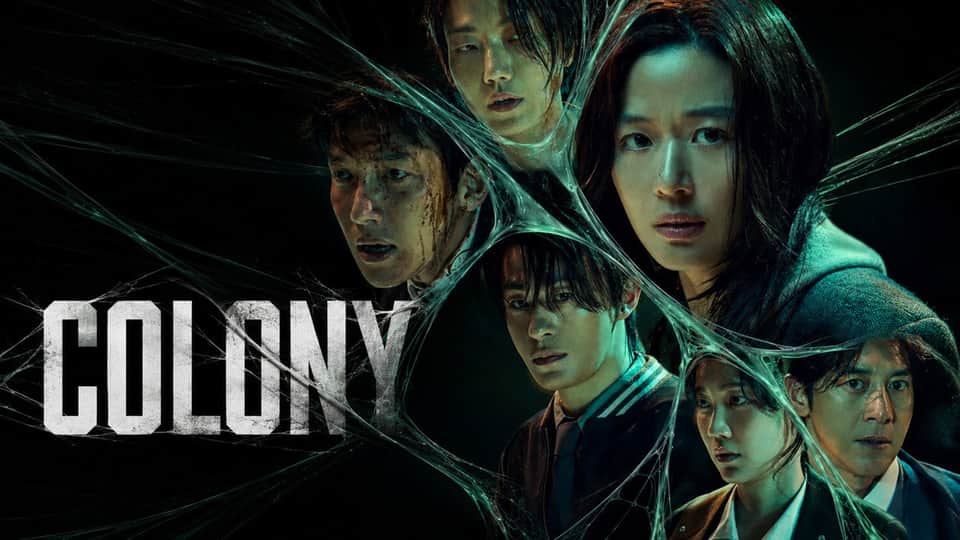 Colony 2/12