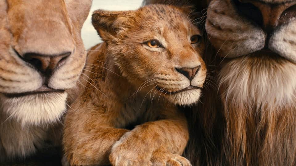 Mufasa: The Lion King 8/12