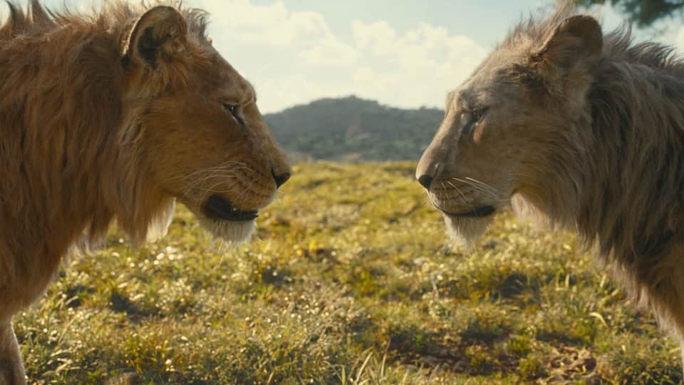 Mufasa: The Lion King 10/12